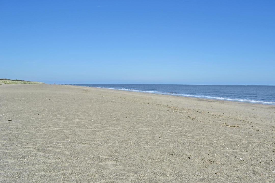 Photo of Others in Boston