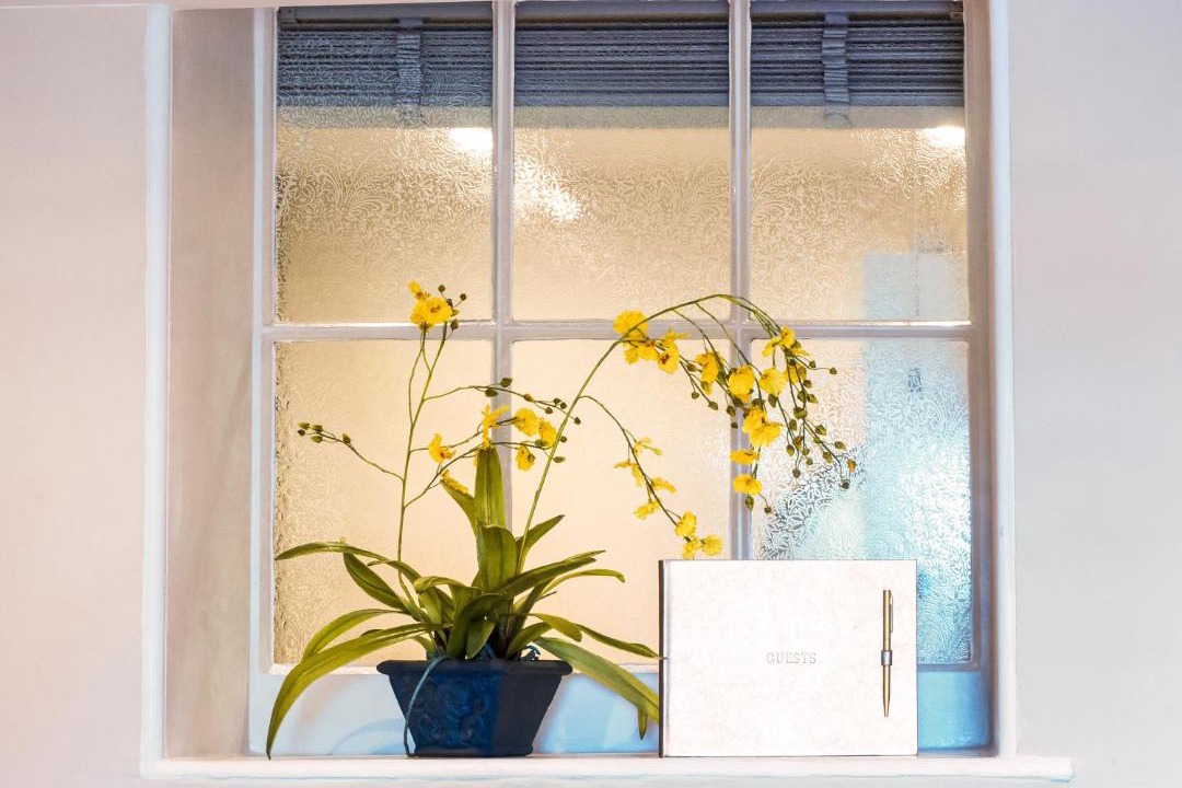 Photo of Others in Tavistock