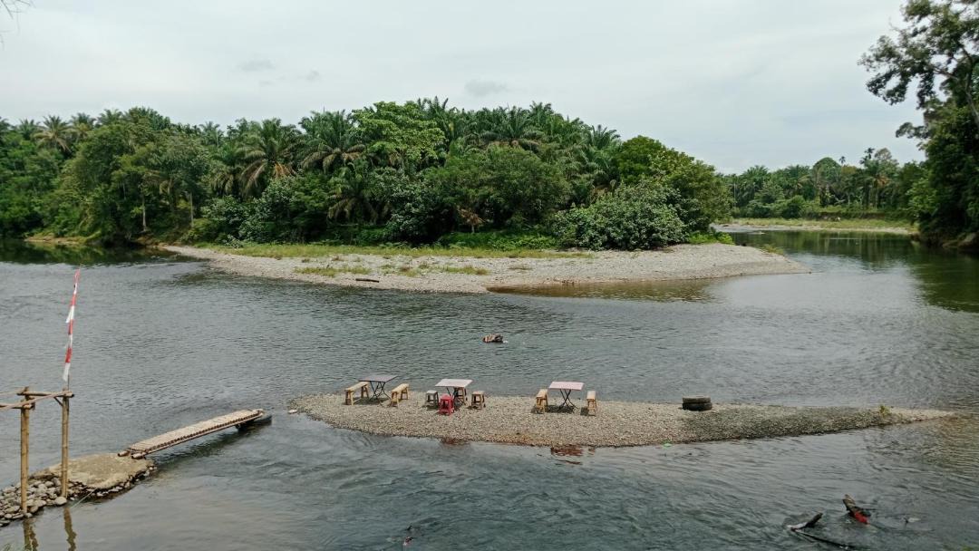 Photo of Others in Bohorok