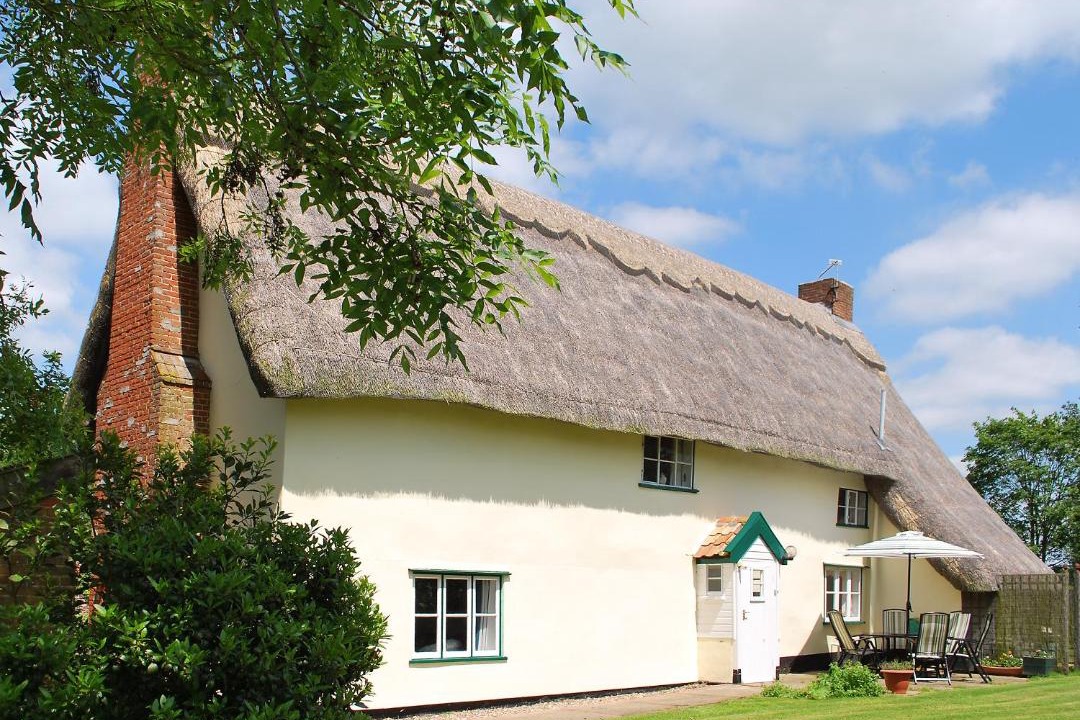 Photo of Others in Eye