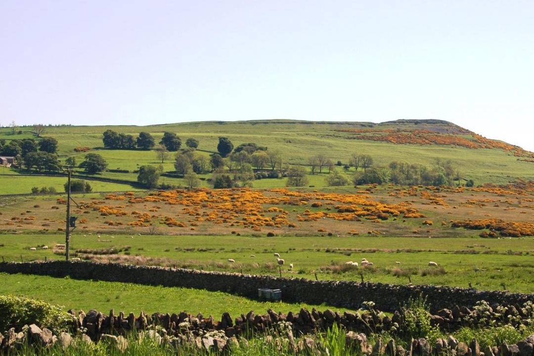 Photo of Others in Penrith