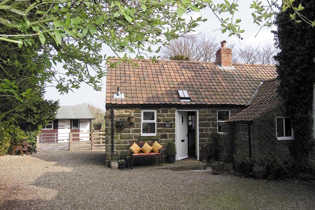 Photo of Others in Levisham