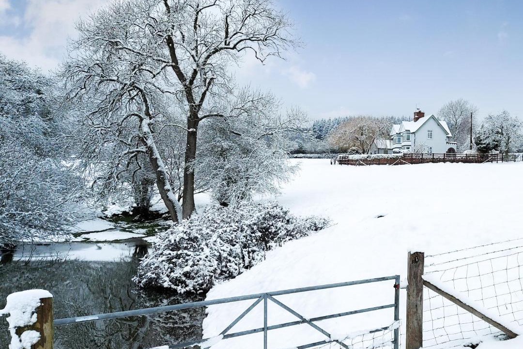 Photo of Others in Ludwel