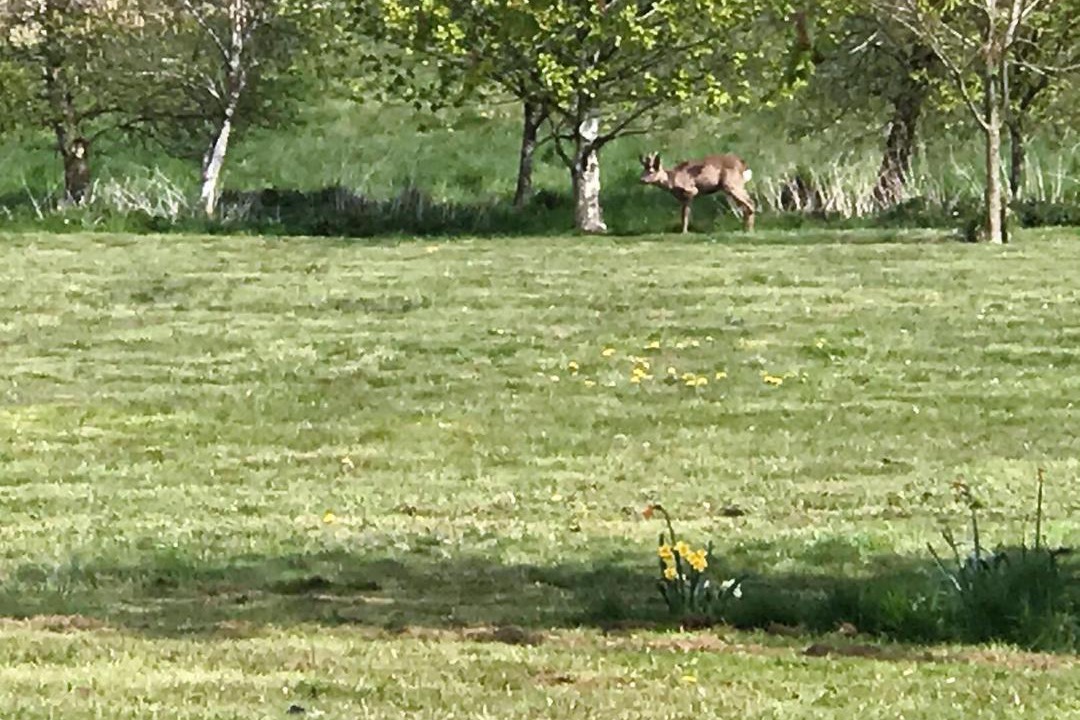 Photo of Others in Littleport