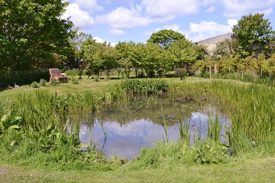 Photo of Others in Buckton