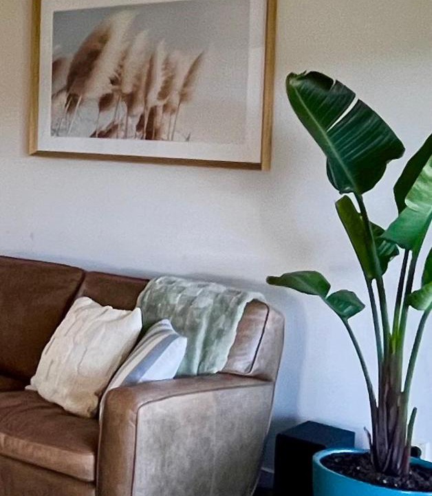 Photo of Others in Fitzroy