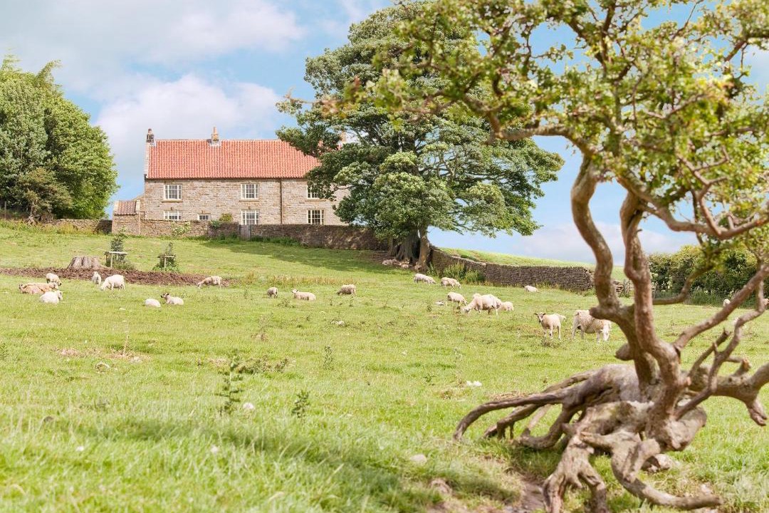 Photo of Others in Kildale