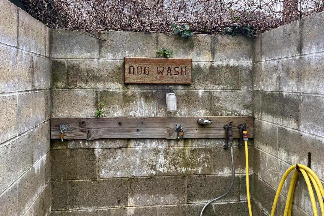 Photo of Others in Lanteglos