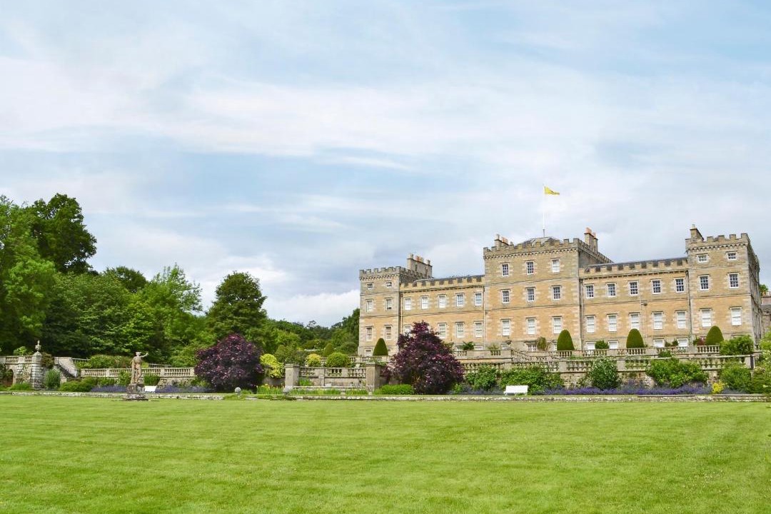 Photo of Others in Gordon