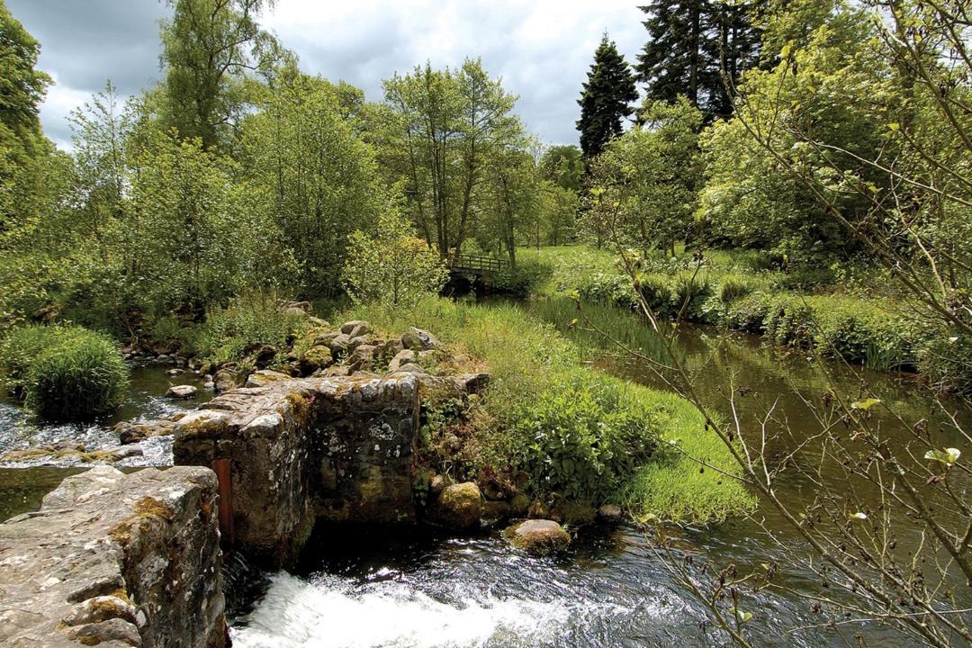 Photo of Others in Gordon