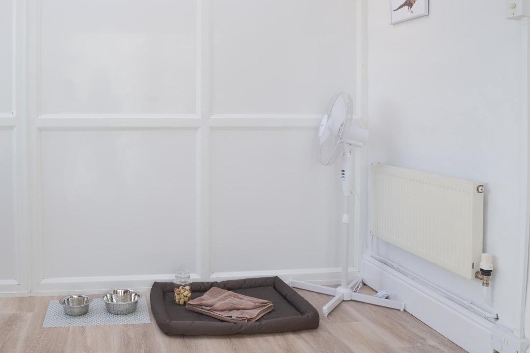 Photo of Others in Delabole