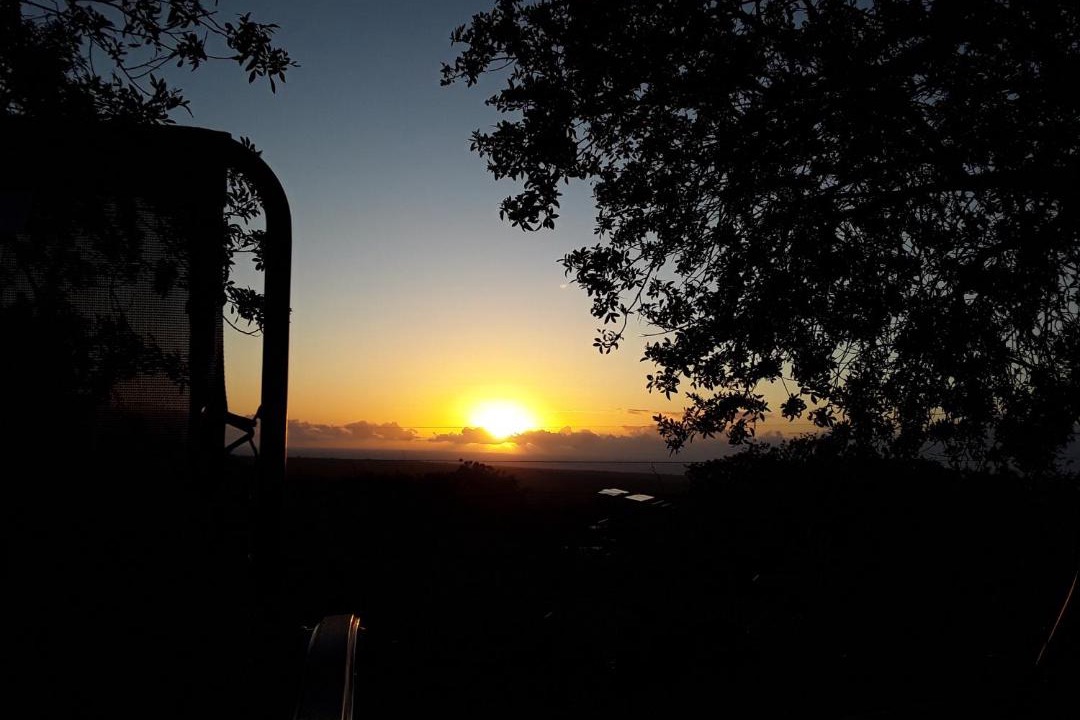 Photo of Others in Discovery Harbour