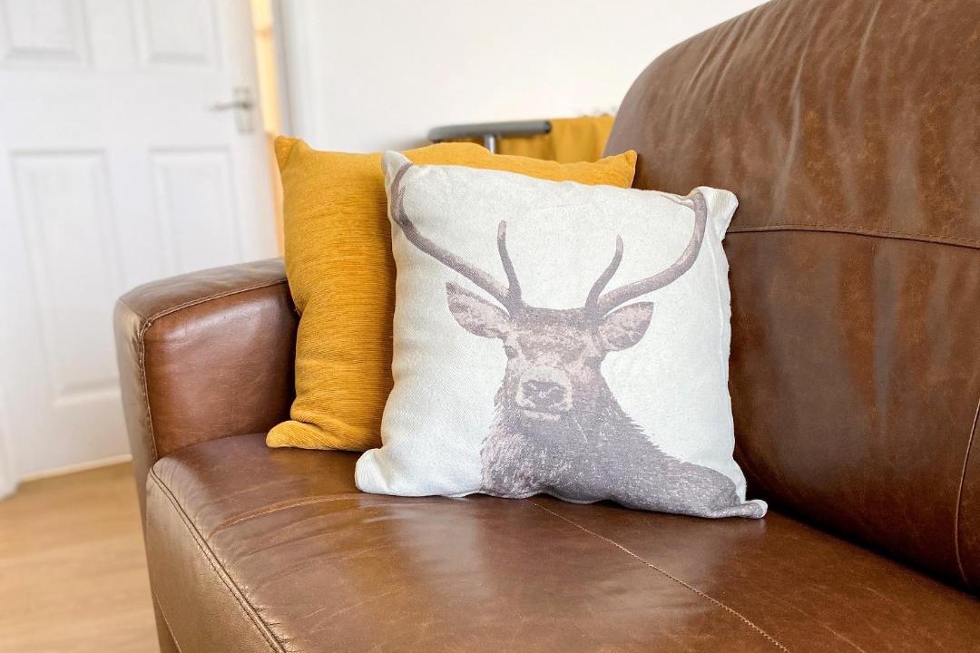 Photo of Livingroom in North Gorley