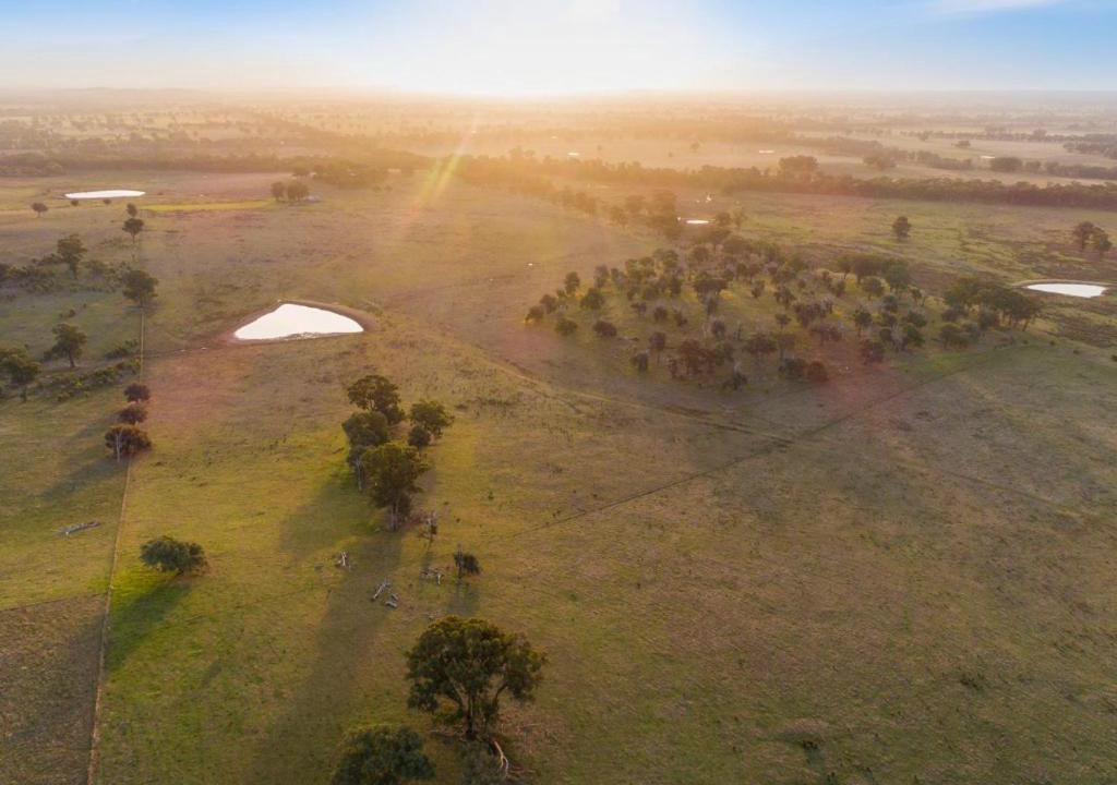 Photo of Others in Avenel