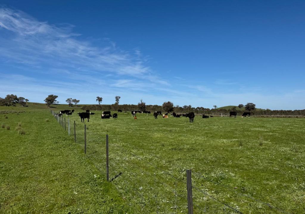 Photo of Others in Avenel