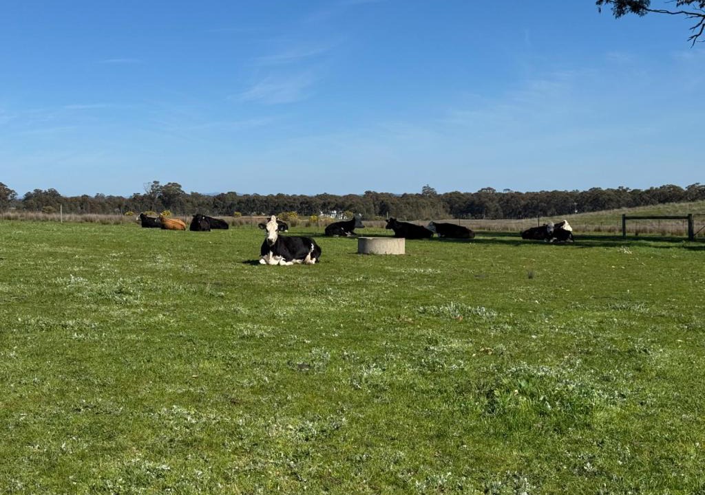 Photo of Others in Avenel