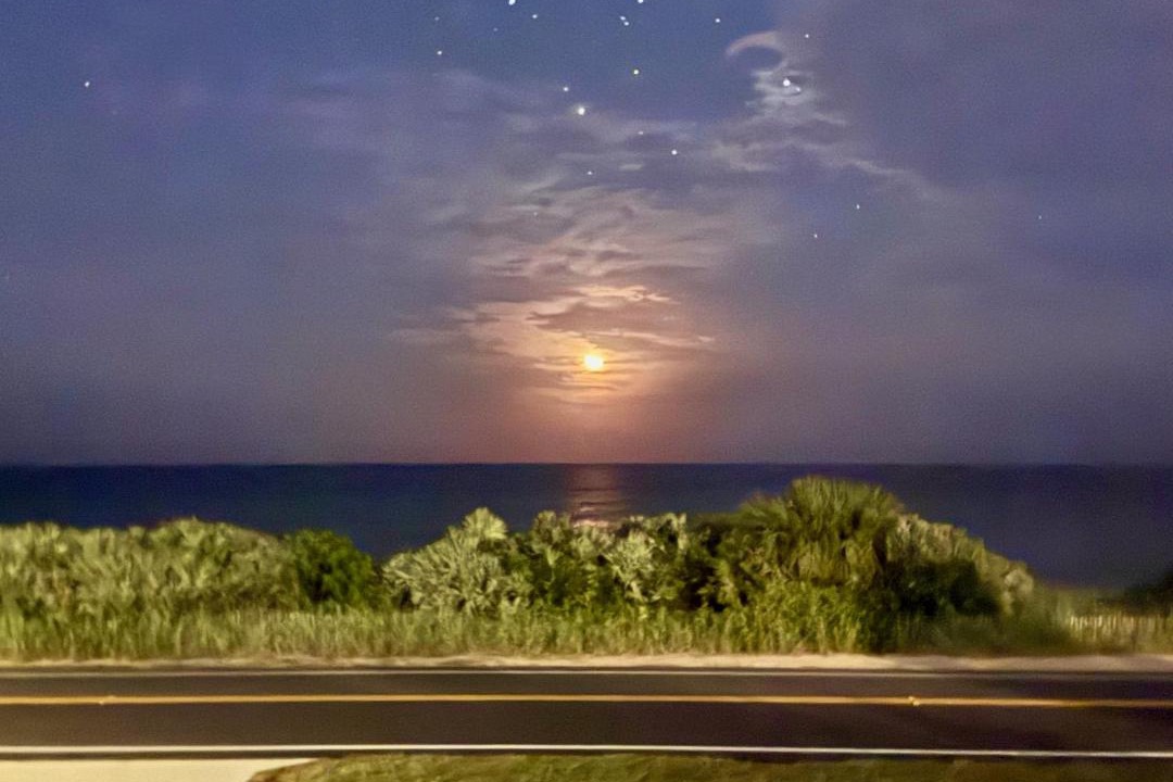 Photo of Others in Flagler Beach
