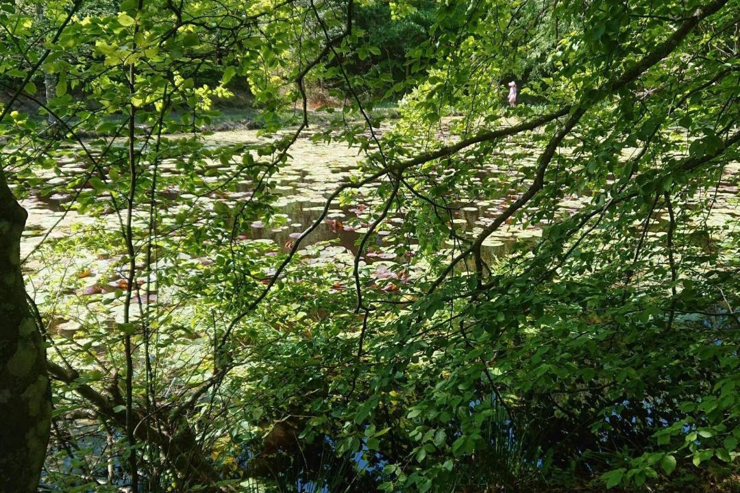 Photo of Others in Lokken