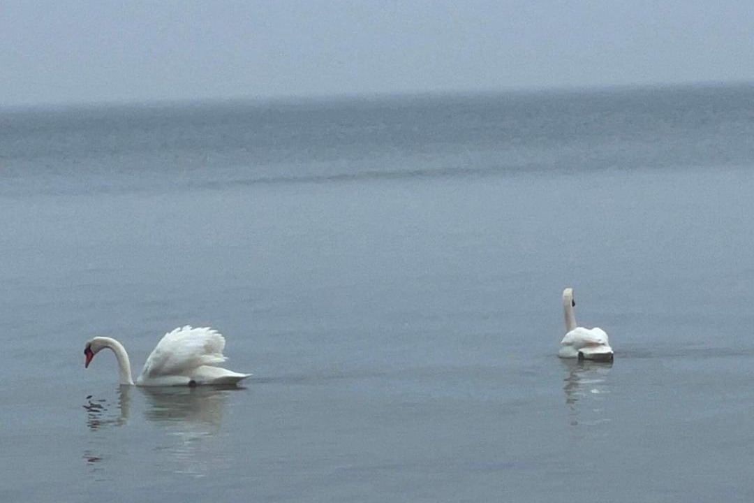 Photo of Others in Faldsled