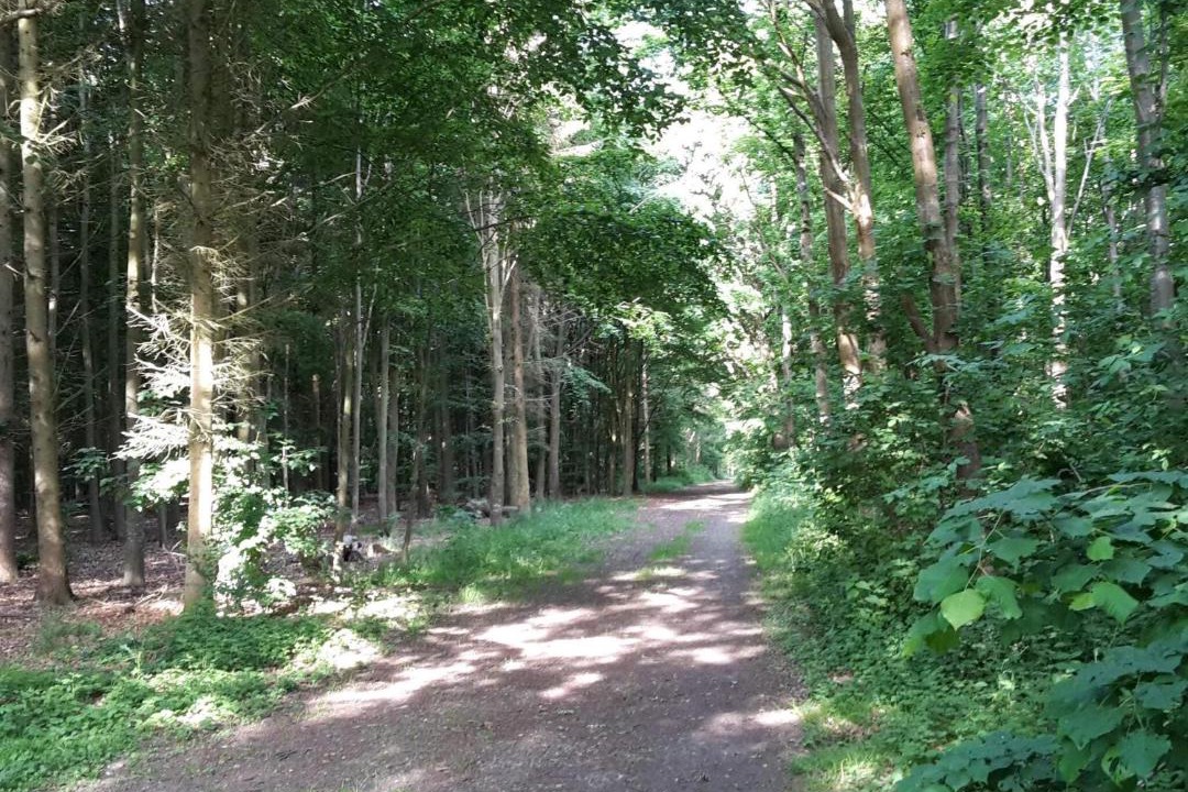 Photo of Others in Marstal