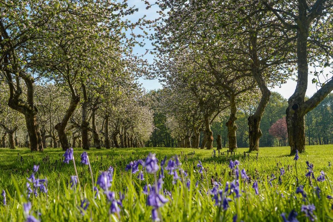 Photo of Outdoor in Abbess Roding