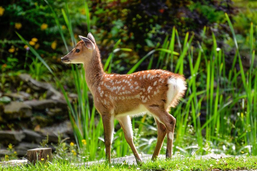 Photo of Outdoor in Abbess Roding
