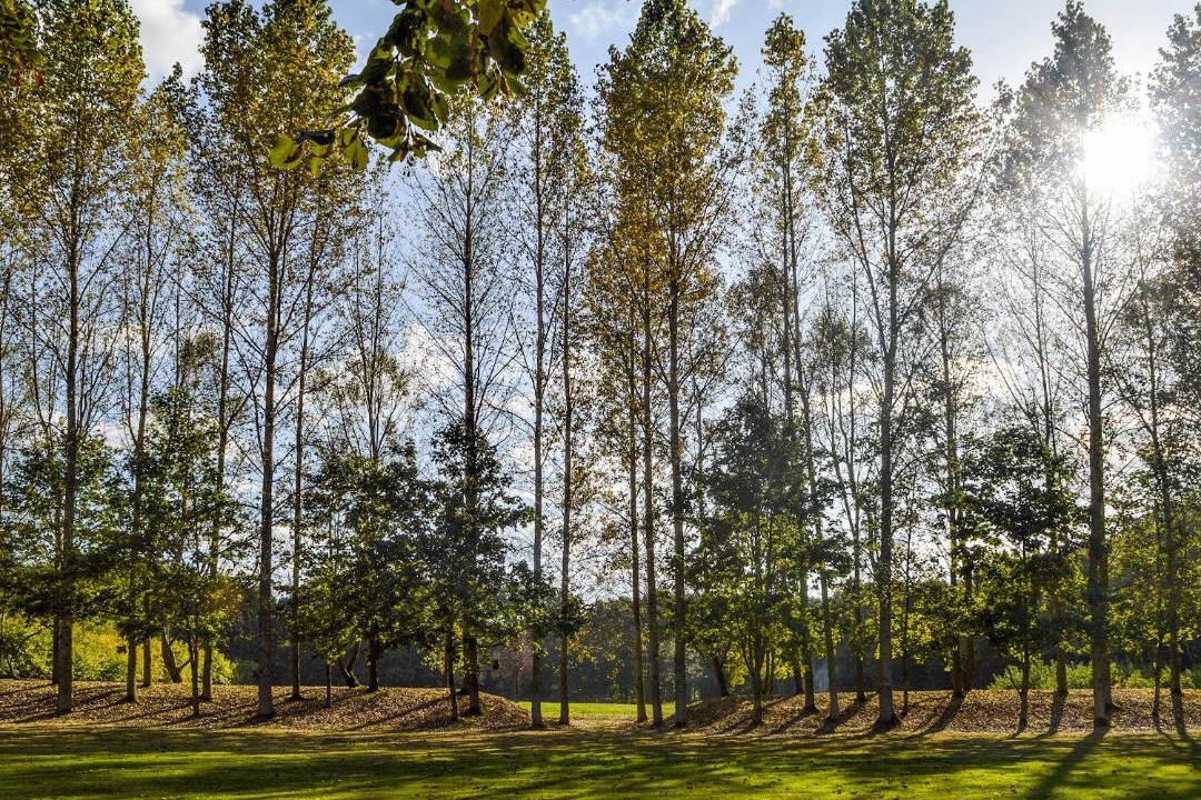 Photo of Others in Abbess Roding