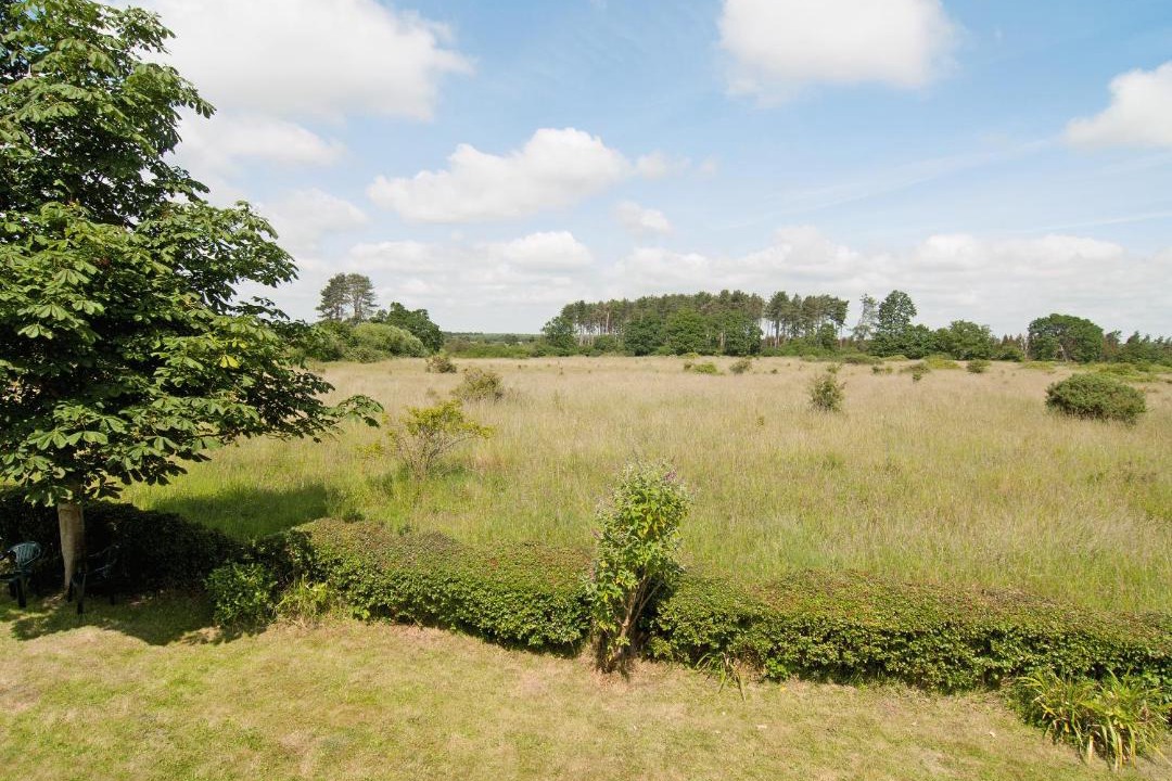 Photo of Others in Sudbourne