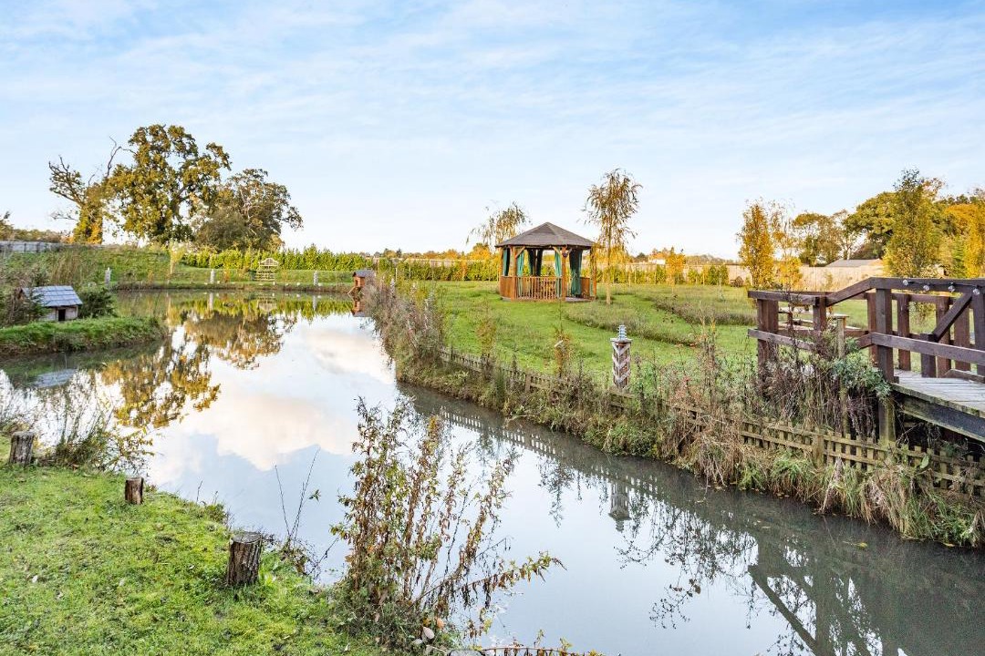 Photo of Others in Newmarket