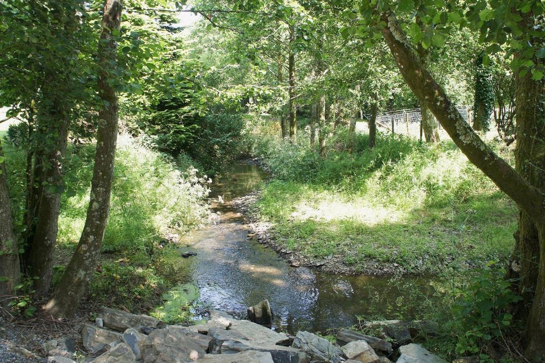 Photo of Others in Swimbridge