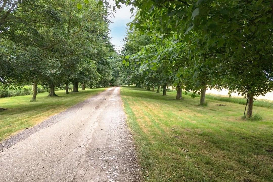 Photo of Others in Littleport