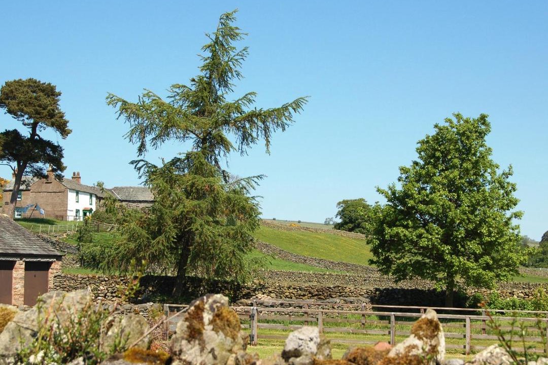 Photo of Others in Penrith