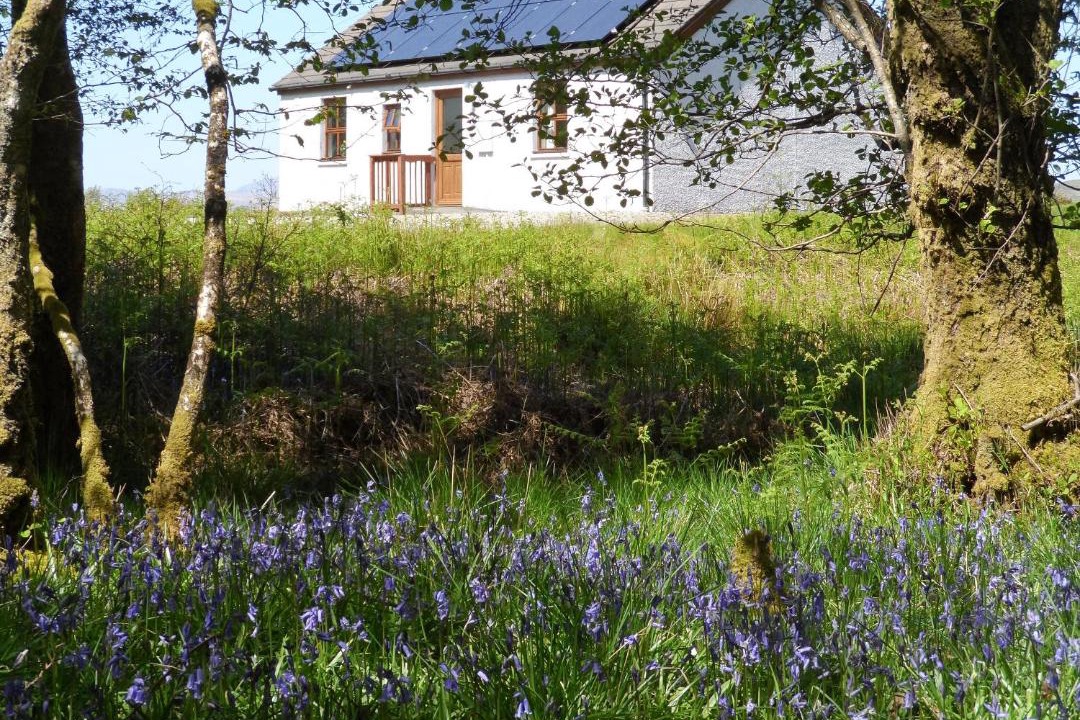 Photo of Others in Lochgilphead