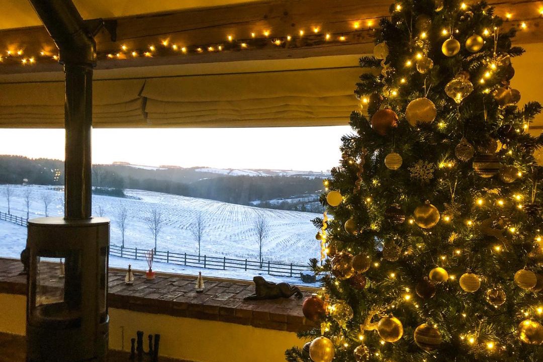 Photo of Others in Brayford