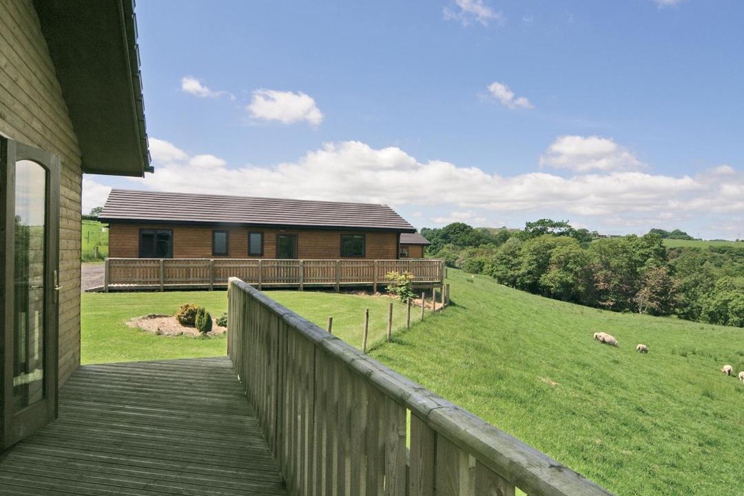 Photo of Others in Penybont