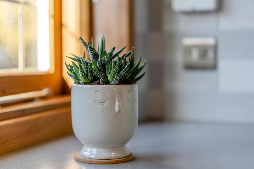 Photo of Others in Challock