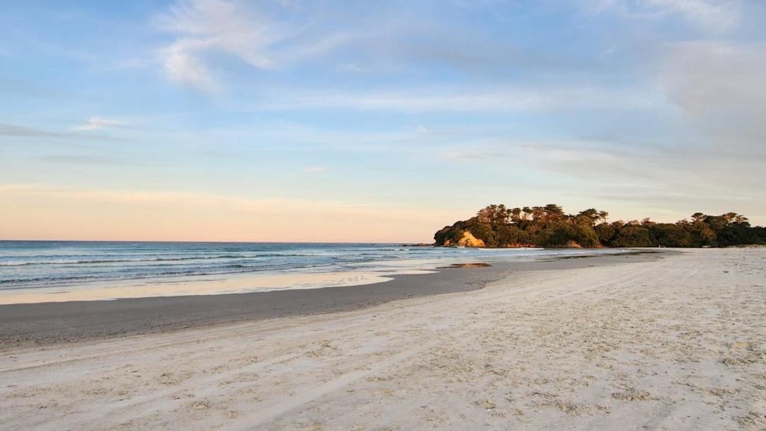 Photo of Others in Pukenui