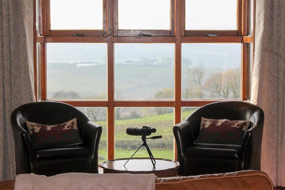 Photo of Others in Llanelli