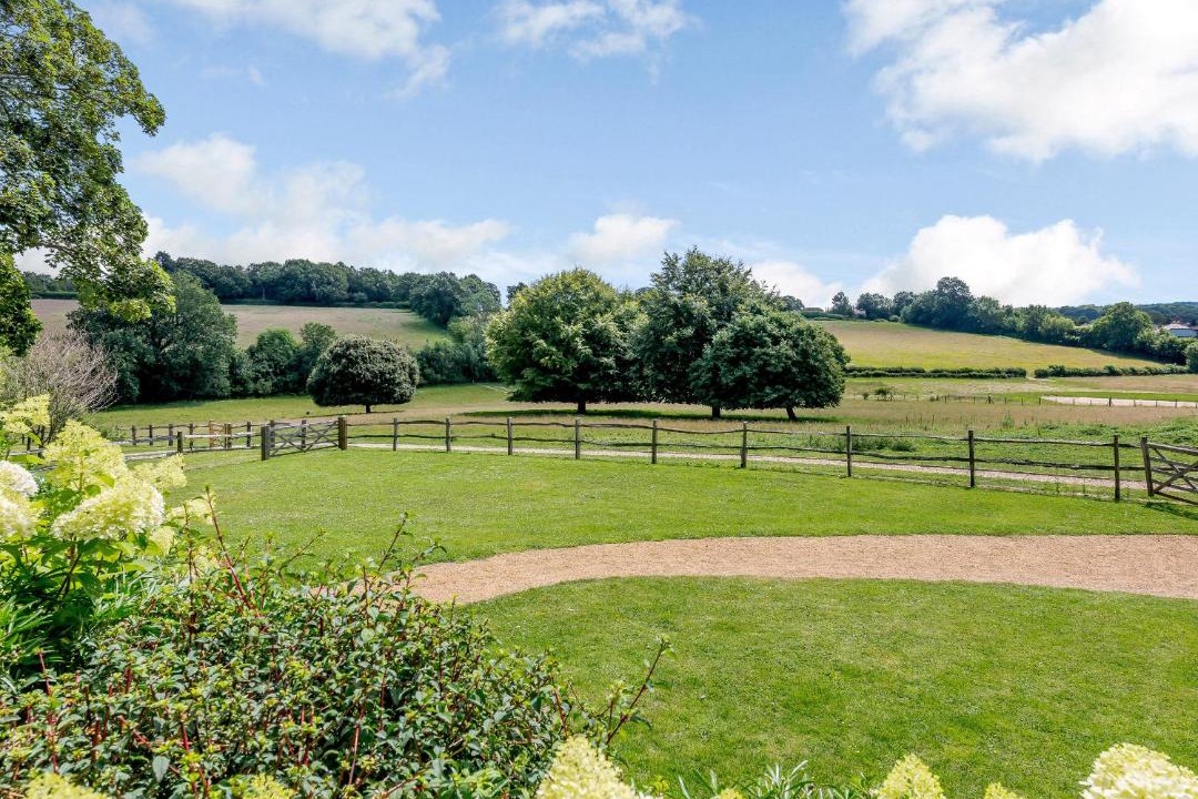 Photo of Others in Sedlescombe