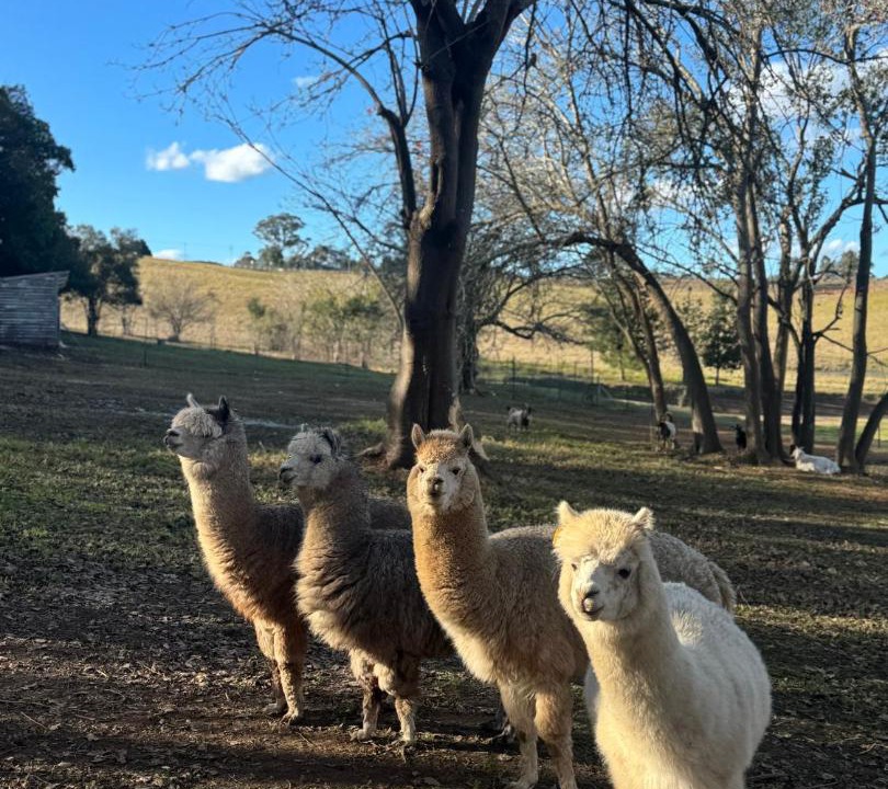 Photo of Outdoor in Mowbray Park