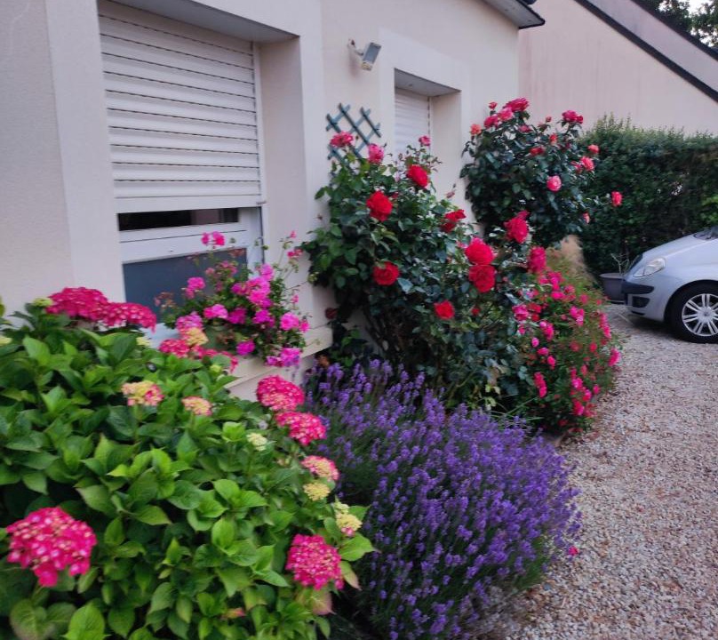 Photo of Others in Matignon