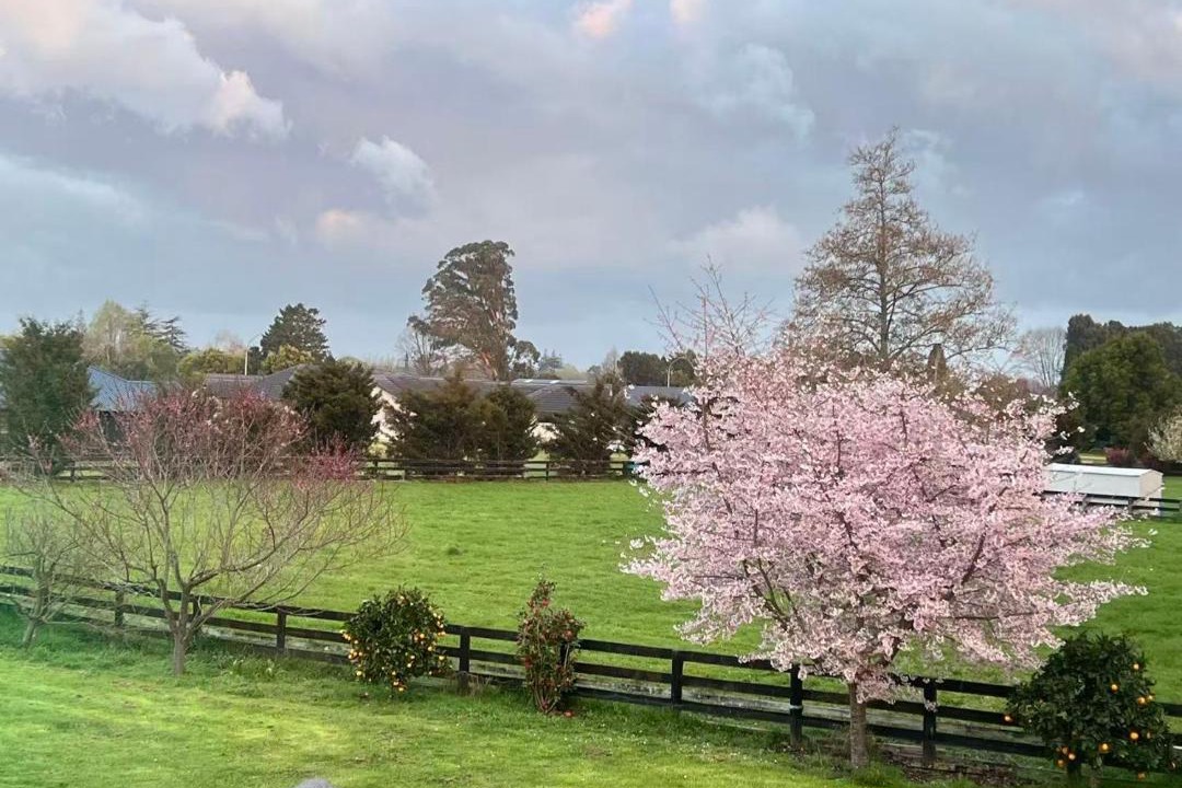 Photo of Others in Tamahere