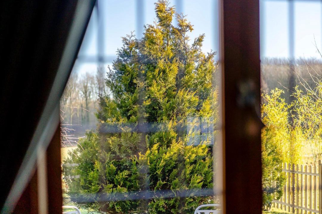 Photo of Others in Challock