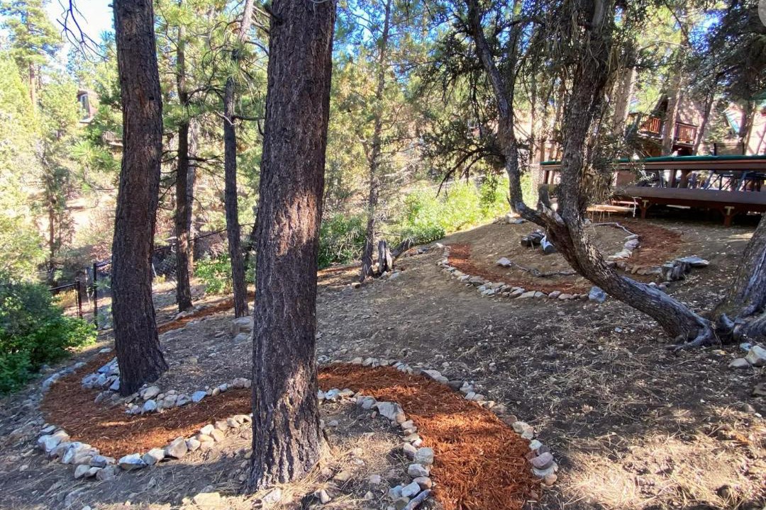 Photo of Others in Big Bear City