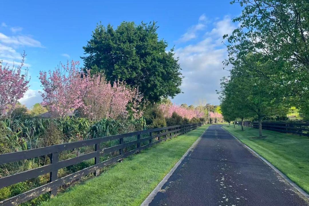 Photo of Outdoor in Tamahere