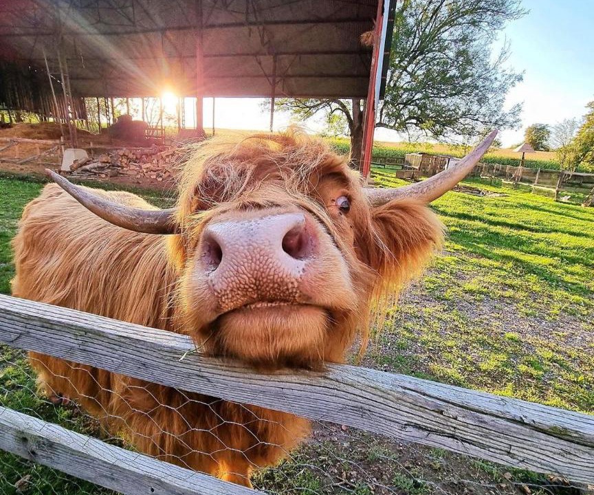 Photo of Others in Les Hays