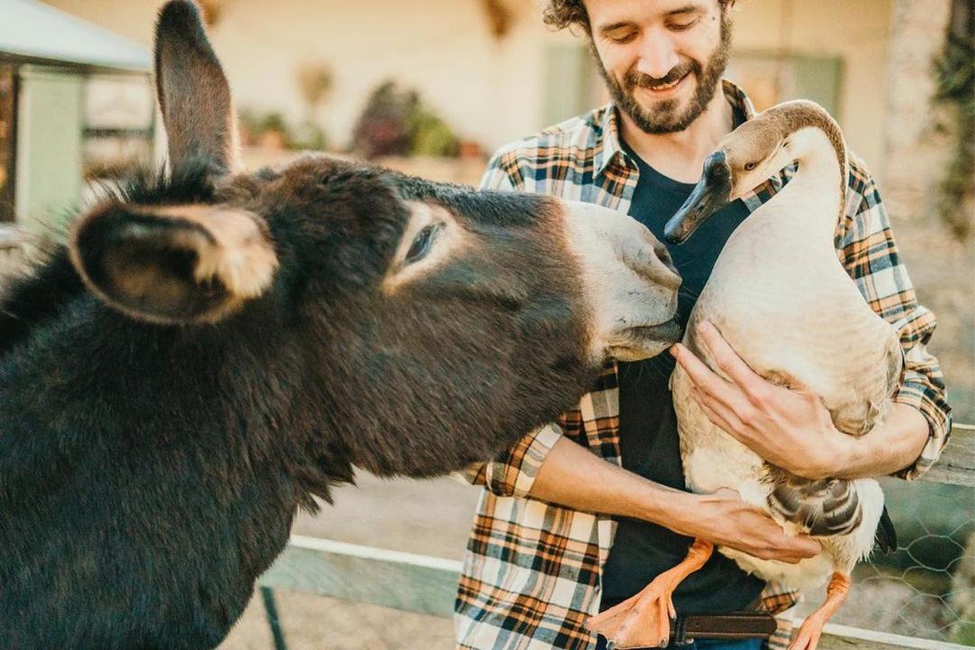 Photo of Human In Picture in Les Hays