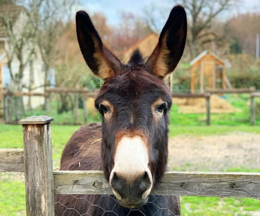 Photo of Others in Les Hays