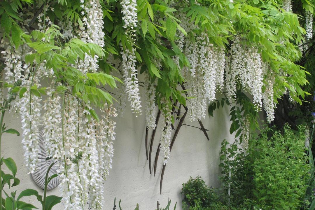 Photo of Others in Bois-le-Roi