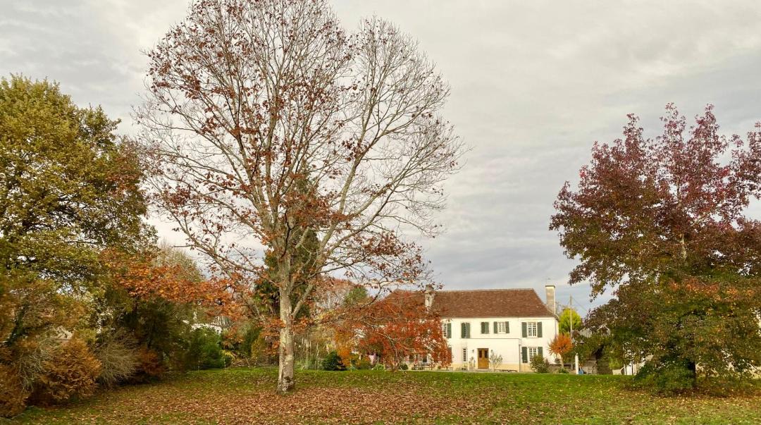 Photo of Others in Navarrenx